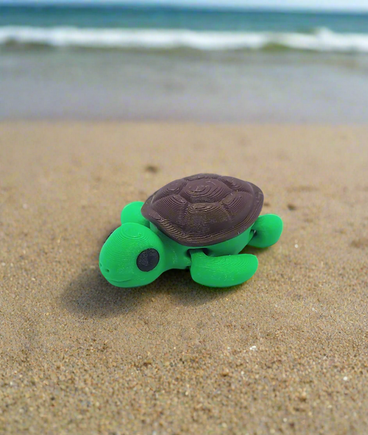 Tortue