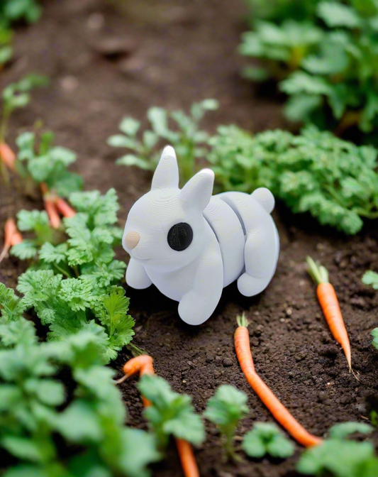 Lapin