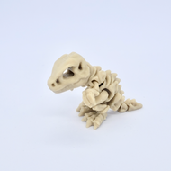 T-Rex squelette