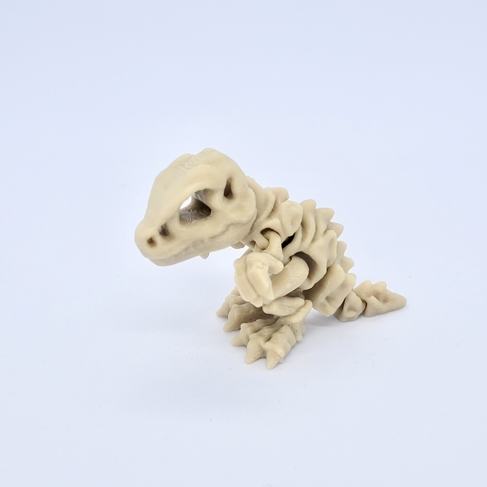 T-Rex squelette