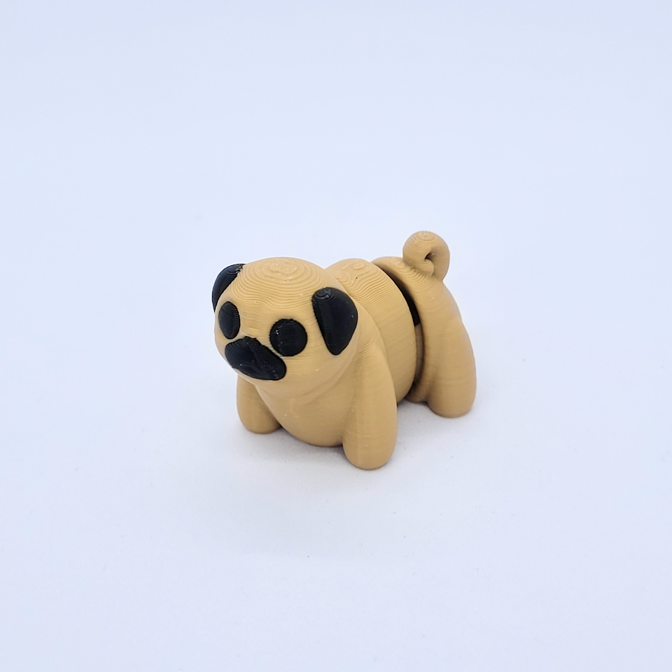 Pug (Chien Carlin)