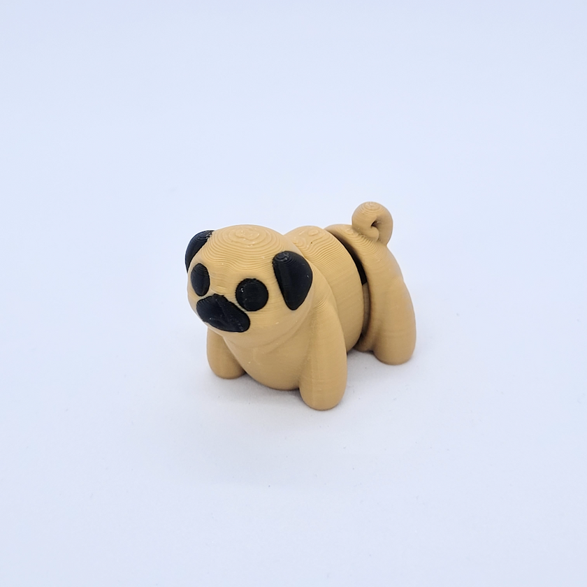 Pug (Chien Carlin)