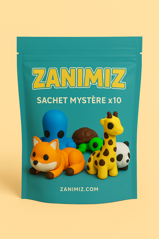 Pack mystère x10