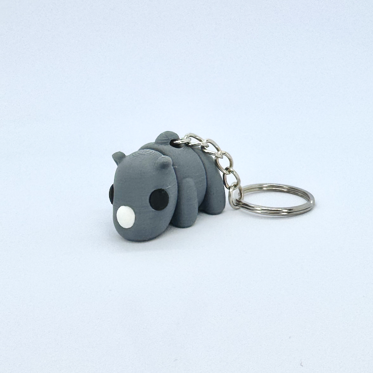 Rhinocéros
