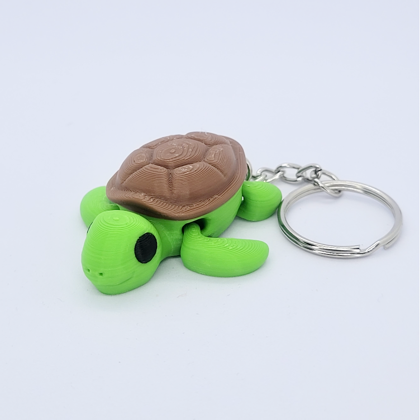 Tortue
